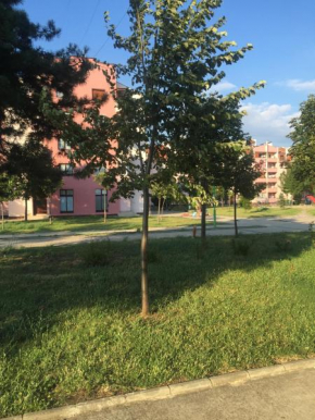 Отель Top Apartment  Ниш